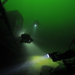 wyprawy_nurkowe_rozgwiazda_01